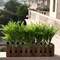 Grand Verde Boston Ferns Artificial Plants Faux Bush Real Touch Plastic Shrub Greenery Leaves - Indoor Outdoor Decor, Bulk 10pcs